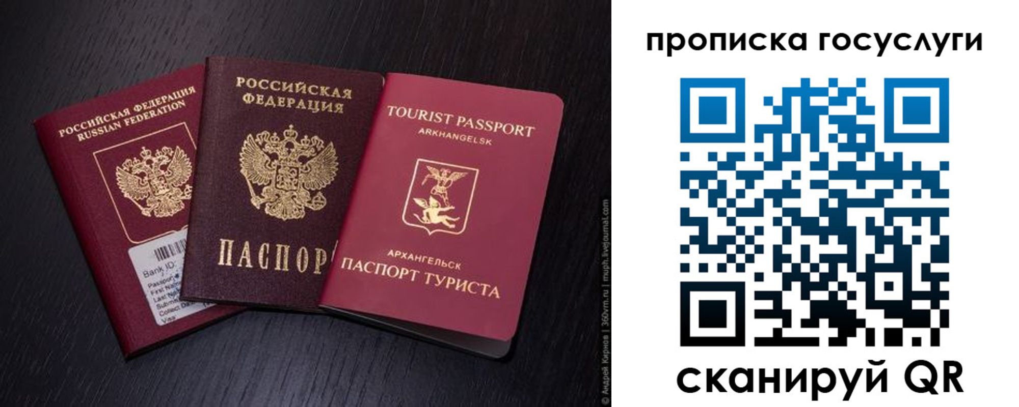 прописка 2025 в Камышлове